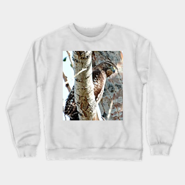 Red Tail Hawk Crewneck Sweatshirt by Scubagirlamy